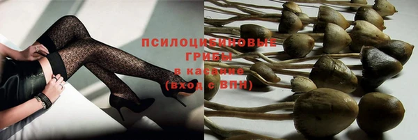 скорость Касимов