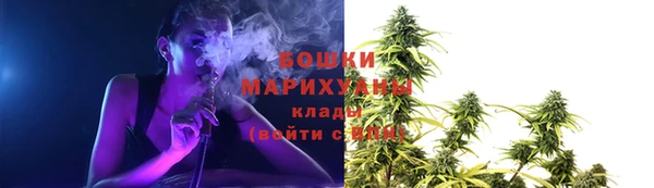 PSILOCYBIN Карпинск